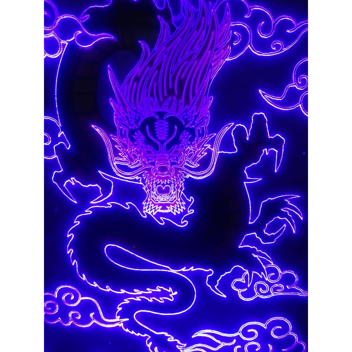 10x8" Acrylic LED Print Display Custom made for any Poster or Photo you want!