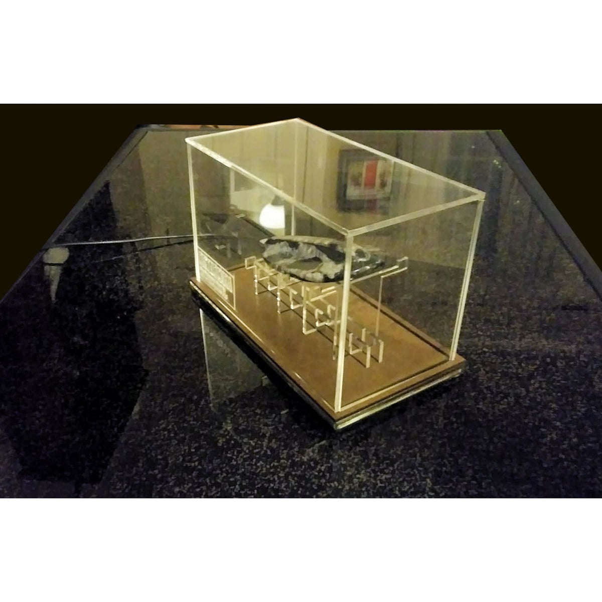 Acrylic Display Case for Fossils with Stand, custom made No LED version