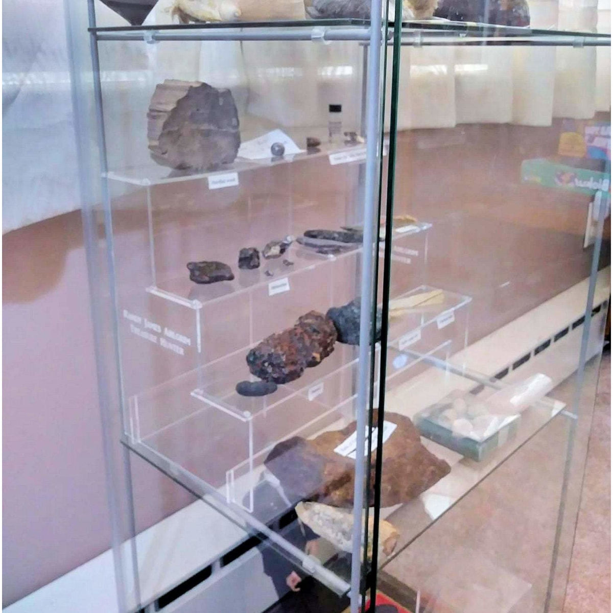 Acrylic Shelf Riser, Display Tier, Full size for Detolf, Ideal for Fossils, Collectibles, Memorabilia and more