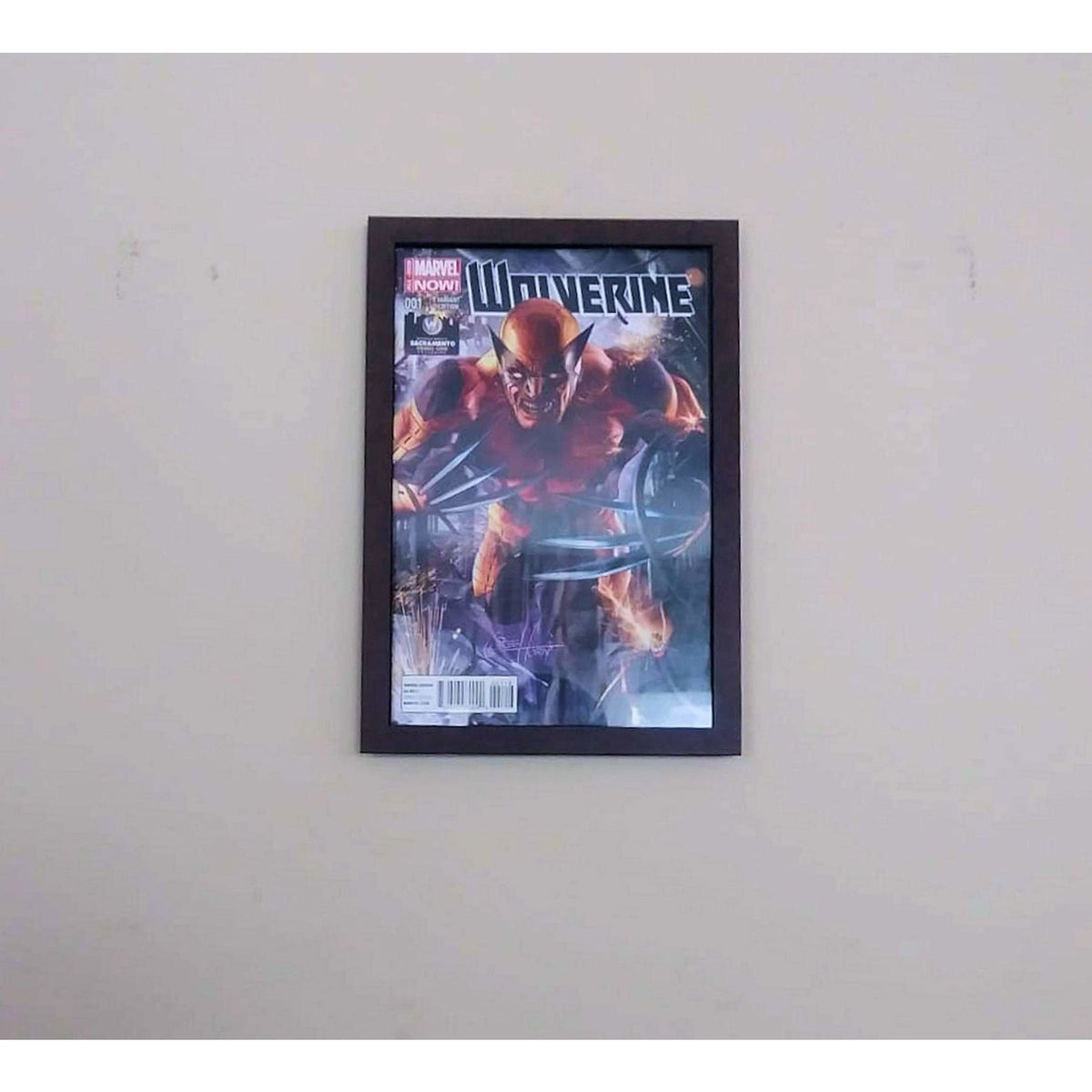 Wall Frame Comic Holder